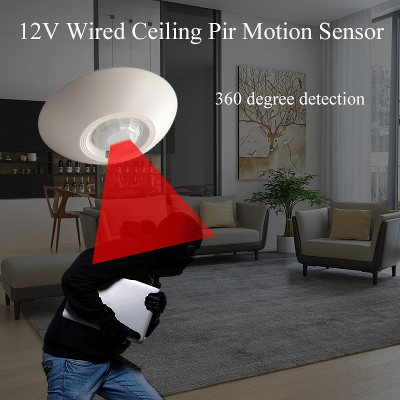 12V 유선 PIR 동작 감지기 천장 감지기 360도  - Motion Sensor Pir Wired 리뷰 및 가격