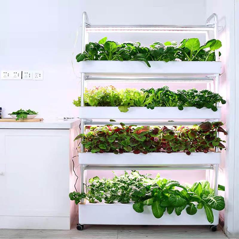 수경재배 시스템 스마트 홈 자동화 시스템 판매중 인기  - Home Automation System Diy 리뷰 및 가격